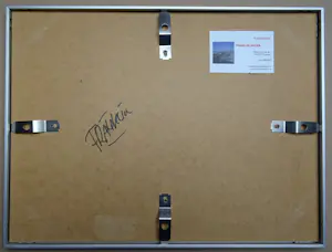 Franklin Meijer - Waddenzee - Bruine Vloot kopen? Bied vanaf 59!