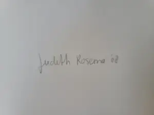 Judith Rosema - Vogel in hand kopen? Bied vanaf 35!