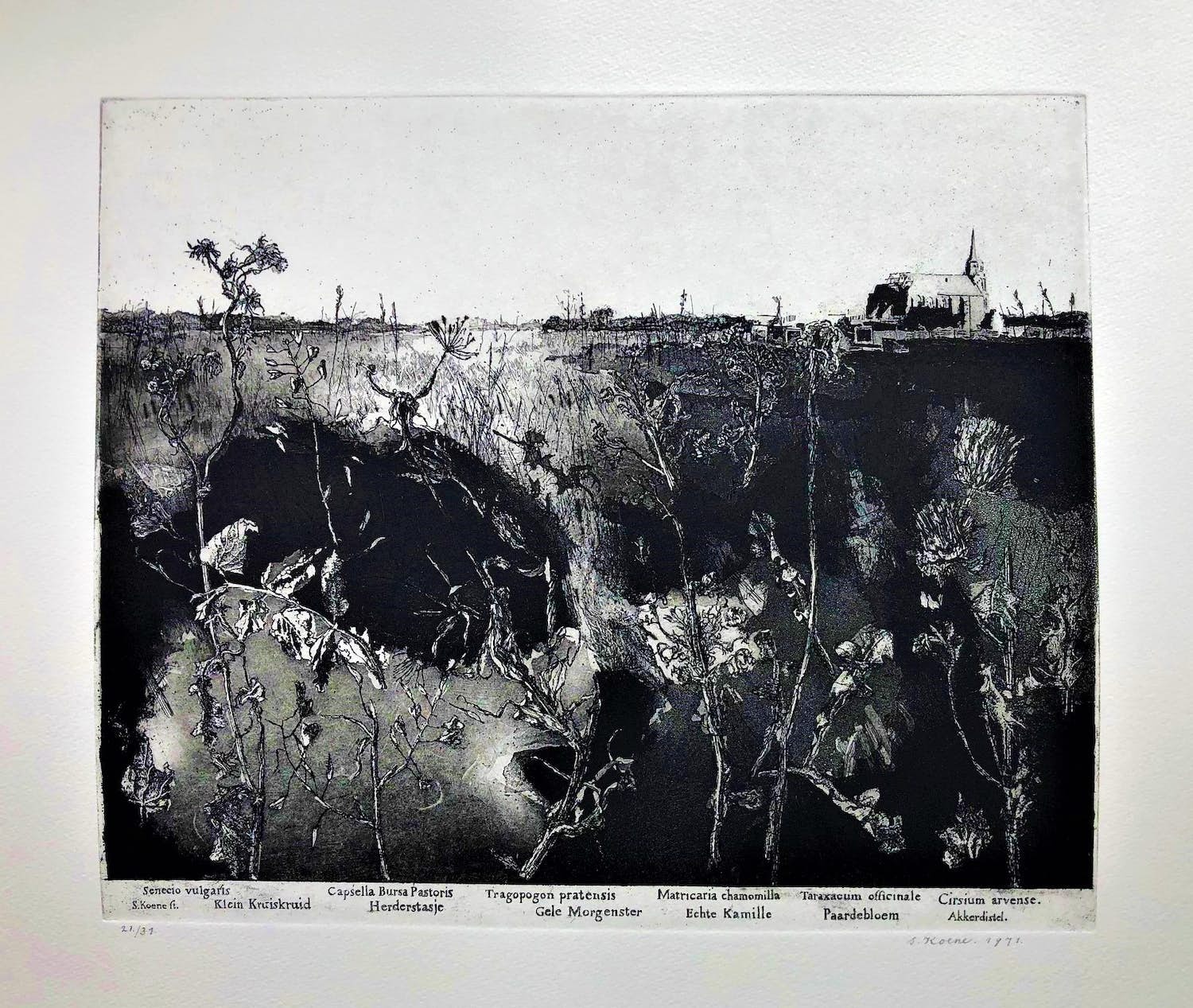 Simon Koene - Landschap met onkruid verkocht voor € 85!