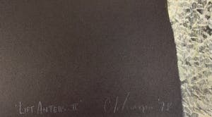 Cole Morgan - lithografie - 'Lift Antens II' - 1978 (Vroeg werk) kopen? Bied vanaf 100!