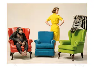 Mr Strange - Kleurrijk leven (III) kopen? Bied vanaf 80!