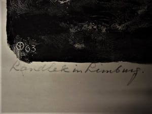 Aart van Dobbenburgh - Fraai Realistisch 1963 Litho "Landhek in Limburg" gesigneerd kopen? Bied vanaf 10!