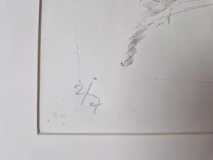 Jan Mensinga - in zeer kleine oplage (7) gemaakte monochrome lithografie "hanengevecht" kopen? Bied vanaf 35!
