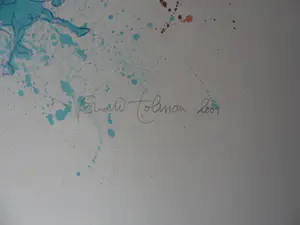 Ronald Tolman - kleurenets , zonder titel. 2001 kopen? Bied vanaf 50!