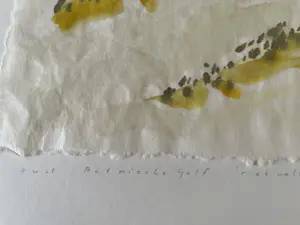Jan Doms - TWEE AQUARELLEN kopen? Bied vanaf 49!