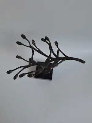 Hans Kuyper - Zomer kopen? Bied vanaf 45!