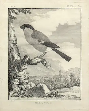 Jacques de Sève - Ets, Le Bouvreuil kopen? Bied vanaf 35!