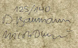 Dagmar Baumann - en Nicole Duyvis - Kartonnen handgesigneerde opbergdoos kopen? Bied vanaf 1!