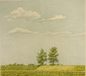 Edgar Fernhout - Zomerdijk kopen? Bied vanaf 45!