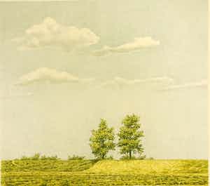 Edgar Fernhout - Zomerdijk verkocht voor € 45!