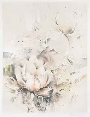 Gabriele Mierzwa - Litho, Zonder titel - Ingelijst kopen? Bied vanaf 1!