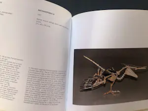 Panamarenko - 2x Handgesigneerd kopen? Bied vanaf 100!