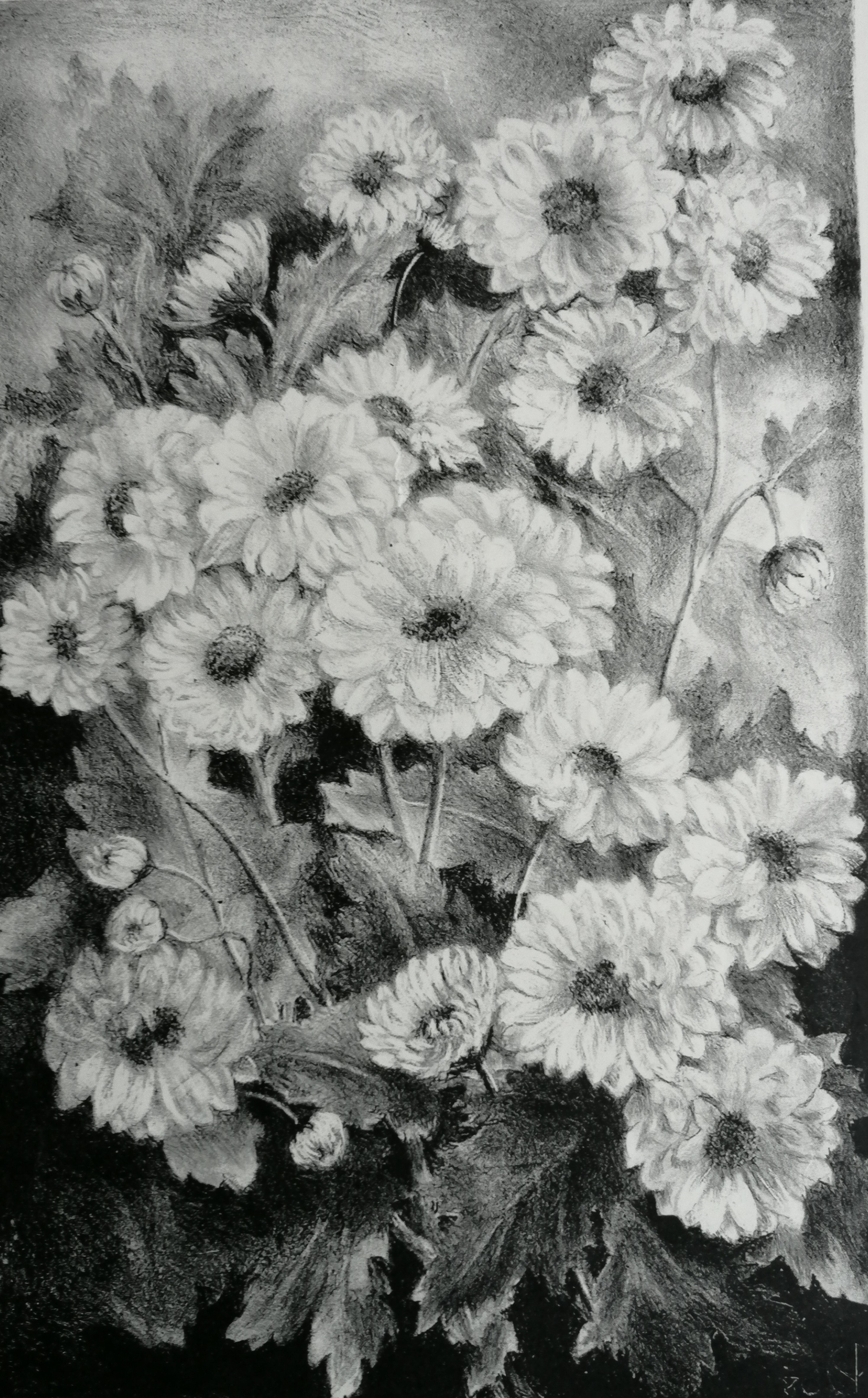 Aart van Dobbenburgh - Bloemen kopen? Bied vanaf 25!