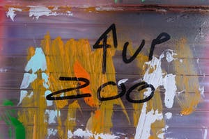 Fred Michiels - Zoo animals have been known to die from stares (3 flamingo's) kopen? Bied vanaf 150!