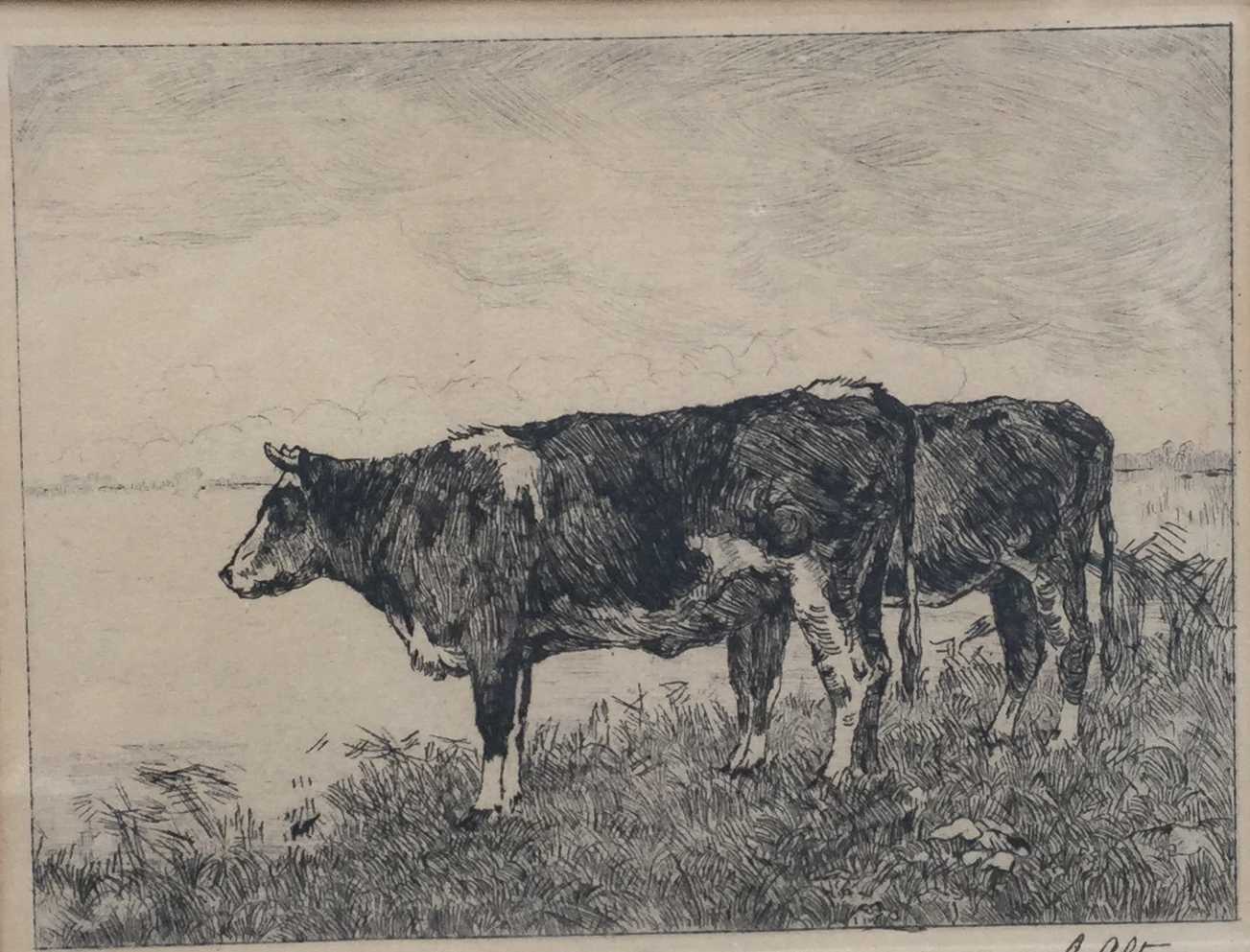 Gerard Altmann (I) - C2608- Koeien  kopen? Bied vanaf 15!