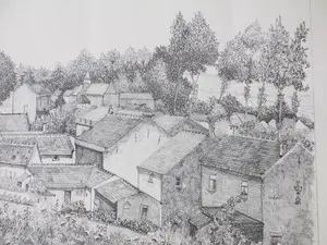 Willem Minderman - Canne - Litho kopen? Bied vanaf 40!