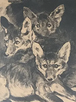 Cornelis Jan Mension - Drie jonge vosjes kopen? Bied vanaf 75!