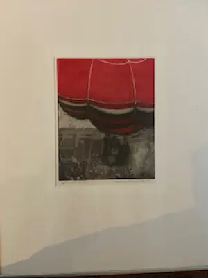 Annemarie van Haeringen - Ballonvaart kopen? Bied vanaf 25!