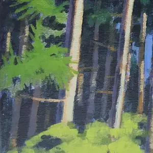 Willem Visser - Naaldbomenbos kopen? Bied vanaf 130!