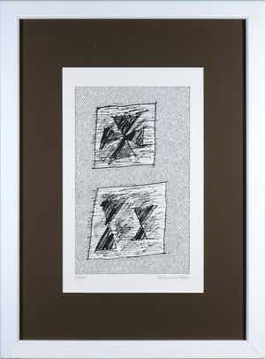 Jan Schoonhoven - Zeefdruk uit het portfolio Formatie - Ingelijst verkocht voor € 1!