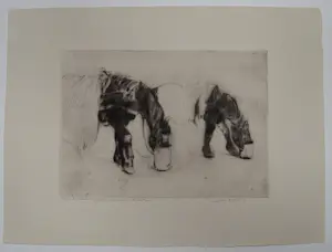 Jan Sirks - paarden kopen? Bied vanaf 25!