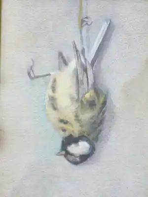 Marie van der Harst - Dode mees - Aquarel verkauft für € 85!