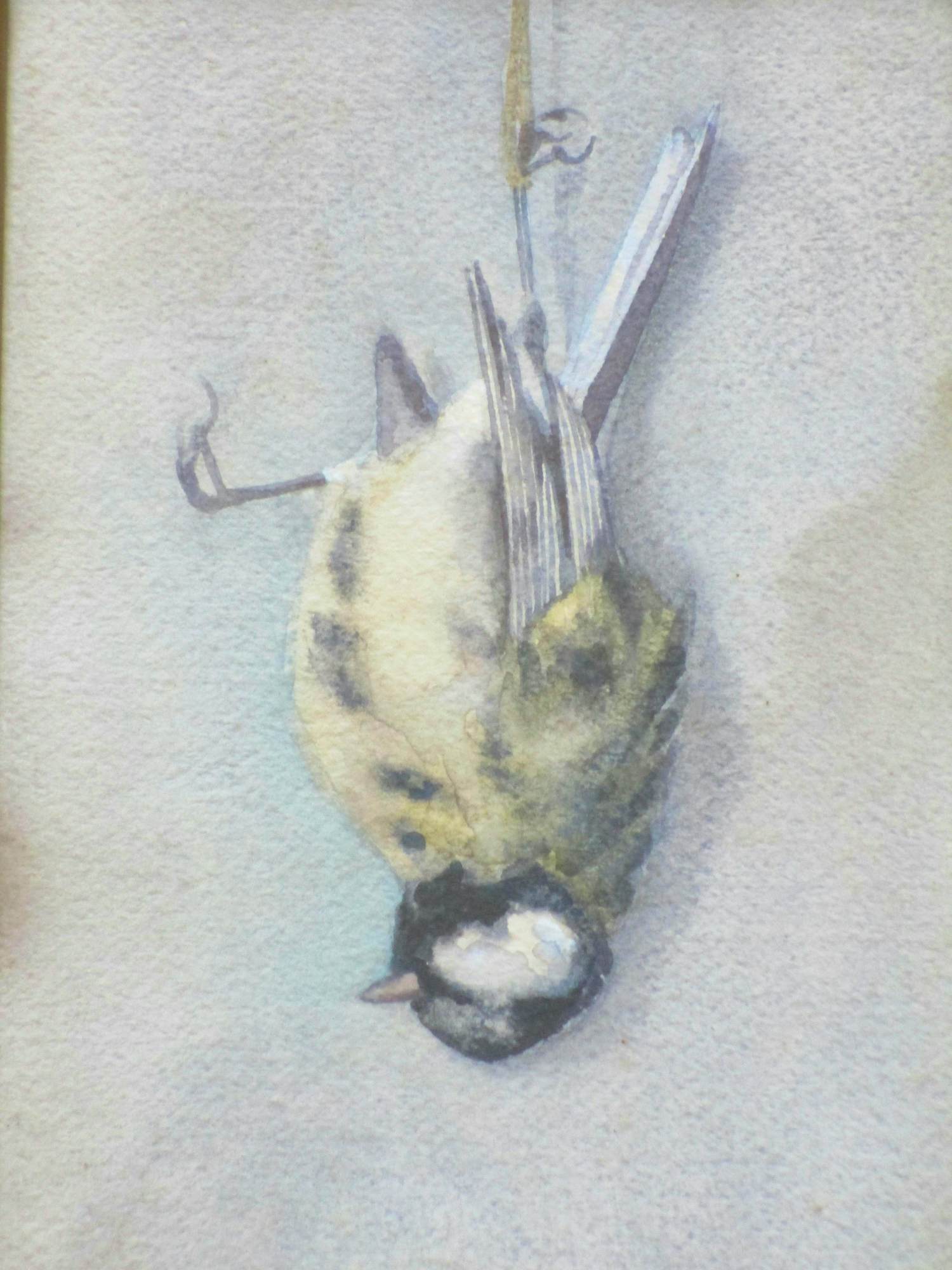 Marie van der Harst - Dode mees - Aquarel verkocht voor € 100!