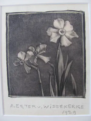 Anna Egter van Wissekerke - narcissen kopen? Bied vanaf 50!