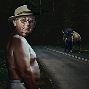 Mr. Strange - BUFFALOS kopen? Bied vanaf 65!