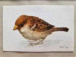Jan Bos - Prachtig geschilderde aquarel "Musje" - gesigneerd - in passe partout verkauft für € 80!