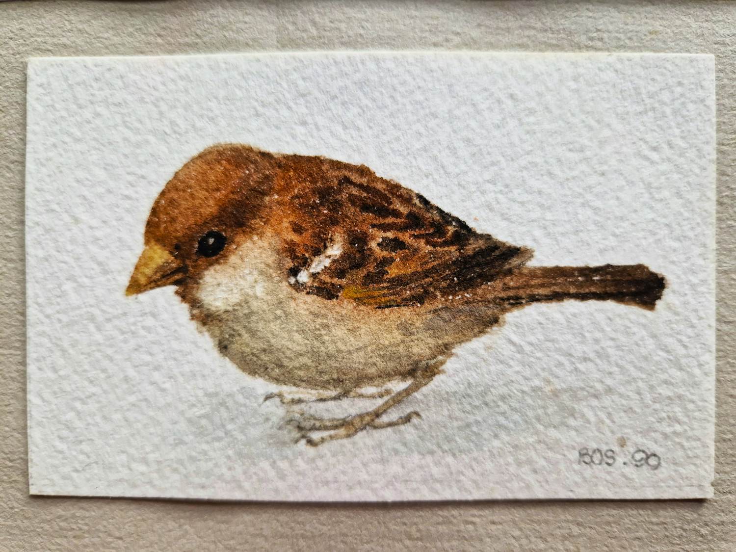 Jan Bos - Prachtig geschilderde aquarel "Musje" - gesigneerd - in passe partout verkocht voor € 35!