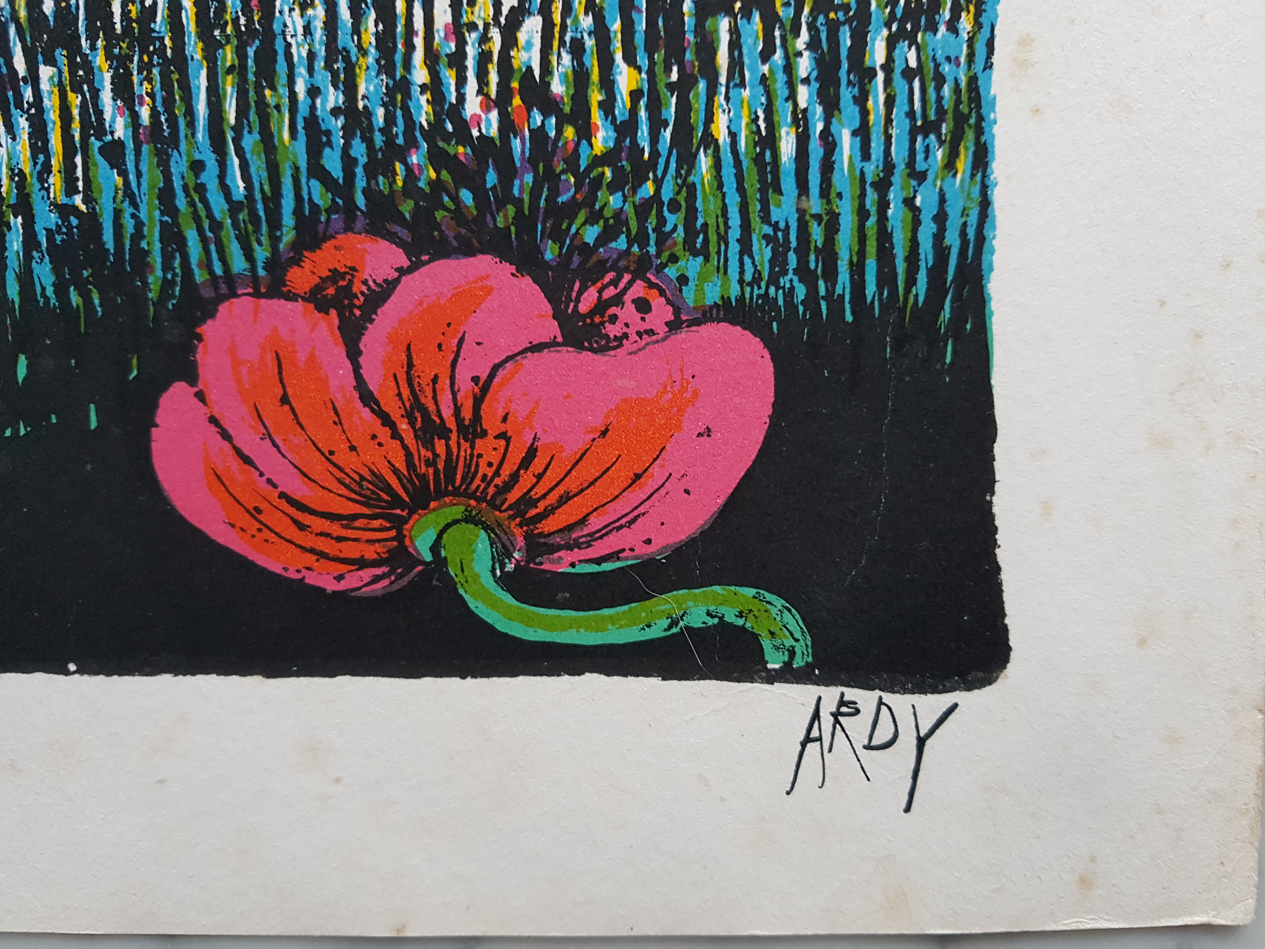 Ardy Struwer - Grote leuke litho van Ardy kopen? Bied vanaf 28!