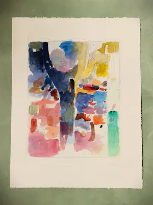 Henk Tichelaar - Grote, met ecoline gekleurde ETS "Bosprent" - kleine oplage (50) - gesigneerd kopen? Bied vanaf 38!