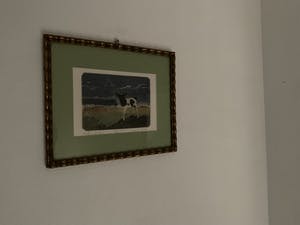 Els Heide-van Rossum - Kalfje in het land kopen? Bied vanaf 90!