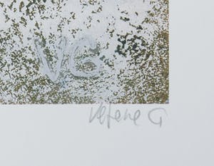 Giovanni Vetere - Zeefdruk, Sneeuwpret kopen? Bied vanaf 1!