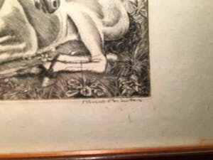 Kuno Brinks - veulen kopen? Bied vanaf 25!