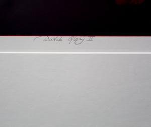 Hans Dolieslager - ingelijste zeefdruk: Dutch Glory II - 2001 (mooie houten lijst!) kopen? Bied vanaf 55!