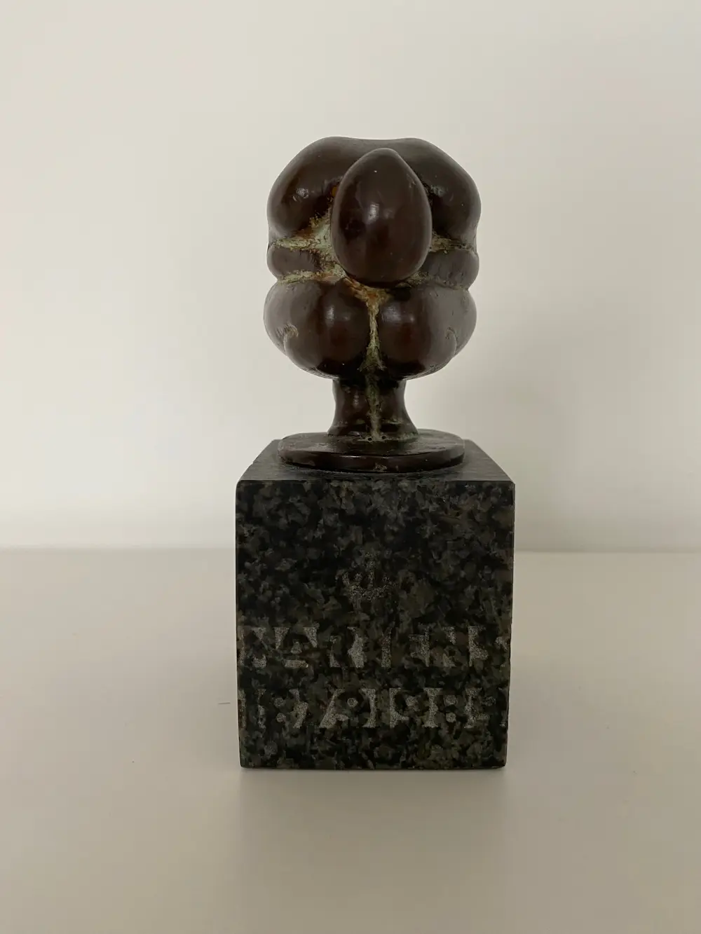 Adri van Rooijen (1936)