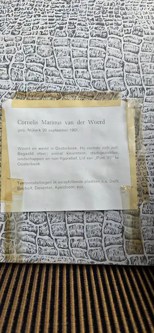 Cor van der Woerd - St Jan 's Hertogenbosch kopen? Bied vanaf 75!