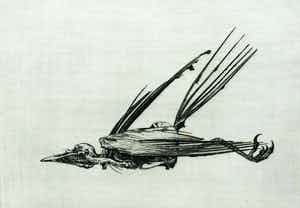 Dick Stolwijk - C3904-5 - Merel mummie verkocht voor € 100!