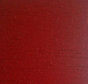 Bruno CANTAIS - RED PASSION kopen? Bied vanaf 420!