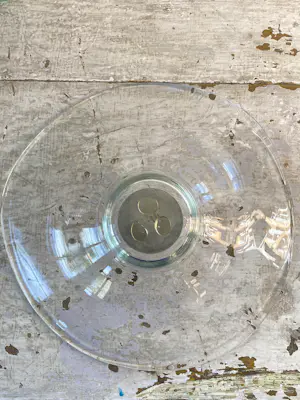 Frans Steginga - Corry Ammerlaan, Artihove, zware schaal met verzilverde kern kopen? Bied vanaf 35!