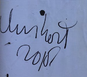 Peter Klashorst - Groot werk op doek - 2018 - Handgesigneerd !!! kopen? Bied vanaf 275!