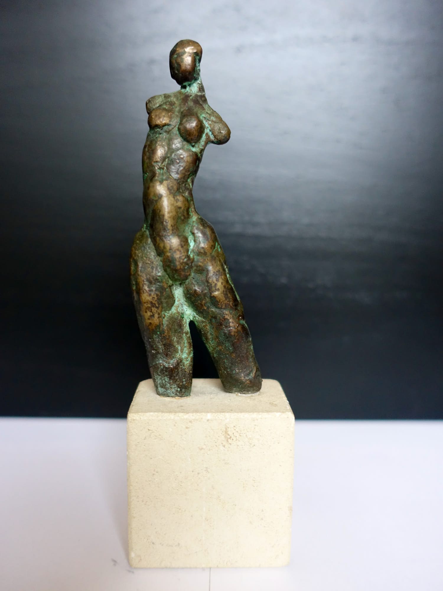 Harry Storms - Torsje in brons kopen? Bied vanaf 130!