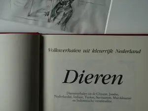 Jet Naftaniel-Joels - Originele tekening gewassen inkt , Illustratie uit De Gouden Vogel + Boek kopen? Bied vanaf 1!