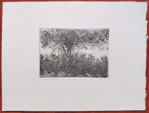 Willem Minderman - Boom tussen struiken, ets kopen? Bied vanaf 45!