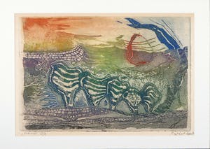 Fred Koot - Kleurenets, Mhoymna kopen? Bied vanaf 40!