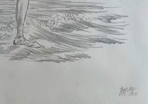 Peter Vos - handgesigneerde litho | 'Man met schip, uil en narrenkap met ballen' | 1973 kopen? Bied vanaf 200!