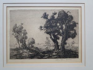 Edmond Van Dooren - Prachtige ets handgesigneerd kopen? Bied vanaf 1!