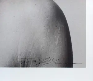 Paul Blanca - Selfportrait Bondage, lambdaprint op fotopapier (groot) kopen? Bied vanaf 395!